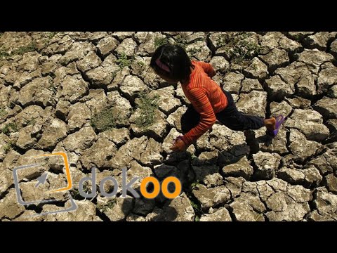 El Niño -  wenn das Wetter verrücktspielt | Doku