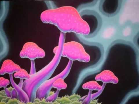 Flegma - Live Set - Universo Paralello 2014