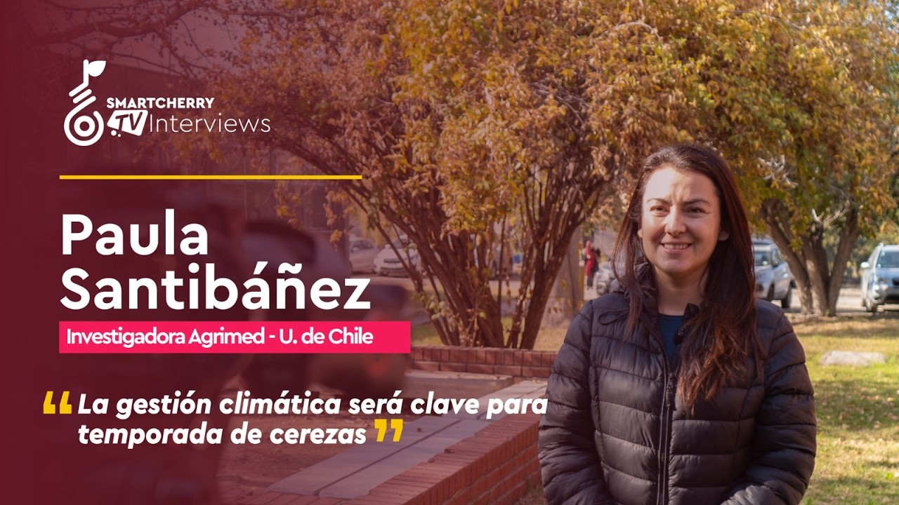 Una temporada bajo vigilancia: Paula Santibáñez advierte sobre los riesgos climáticos para el cerezo