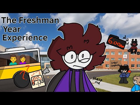 The Freshman Year Experience..