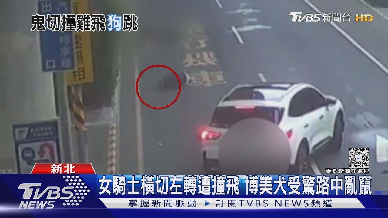 影音/76歲婦載博美橫切左轉遭撞飛!狗狗嚇壞「路中竄」險象環生