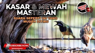 Download lagu Masteran Mewah Kasar Greja Tarung Panjang vs Cucak Cungkok Full Variasi Temabakan Memukau mp3