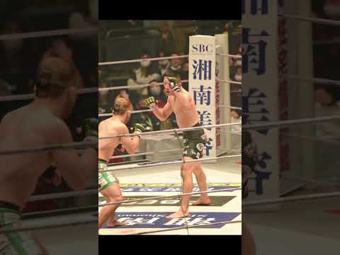 RIZIN40 堀口恭司 カーフキック#mma #カーフキック#rizin #堀口恭司