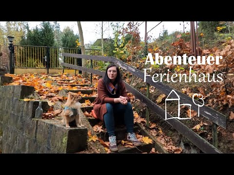 Ich habe ein Grundstück im Harz gekauft | Abenteuer Ferienhaus