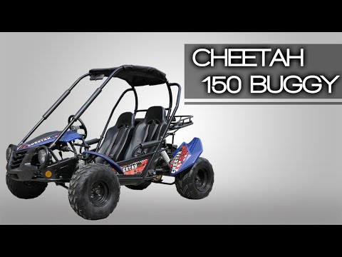 RACE BUGGY , WATCH THE VIDEO