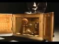 Life Under The Sink