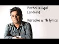 Pachai Kiligal Karaoke Lyrics Indian A R Rahman High Quality