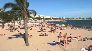 International Film & Video