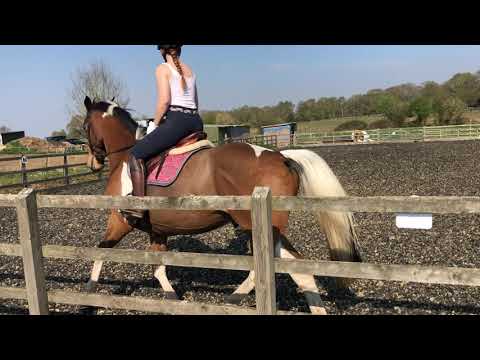 BE90 Dressage Test 95 - April 2020