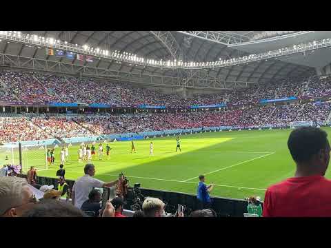 Jean-Charles Castelletto goal (Serbia - Cameroon 3:3 FIFA WORLD CUP 2022)