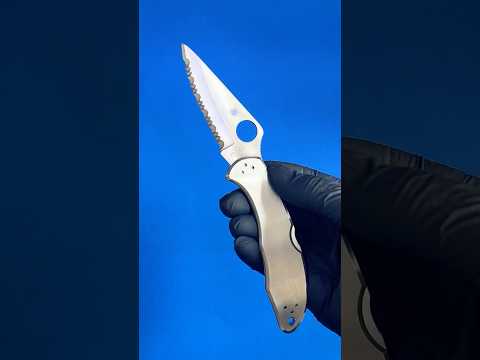 Spyderco Delica4 Lightweight C11PSBBK Knife Review | OsoGrandeKnives