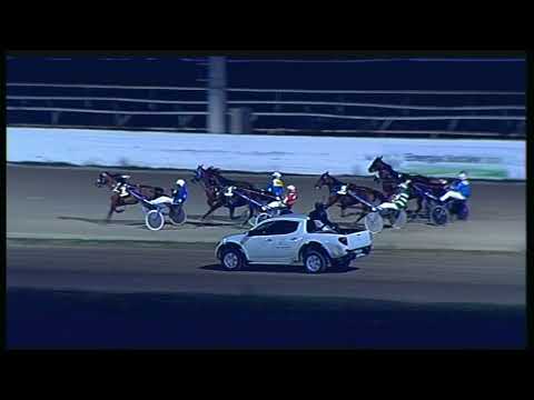 Trotto 04/09/2020 - 8ª corsa