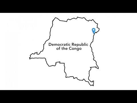 UN peacekeepers killed in D.R. Congo attack