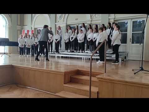 Pjevački zbor OŠ Bedekovčina (65. Glazbene svečanosti hrvatske mladeži) - Lepi Juro