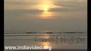 Twilight charm of Muzhapilangad beach  