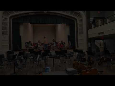 WMS Orchestras Spring Concert 2025