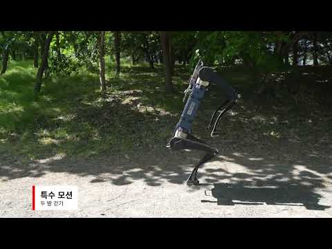 RBQ-10 Review Video 4