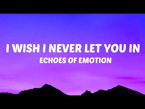I Wish I Never Let You In (Heartbreak Survival Song | Official Lyric Video)