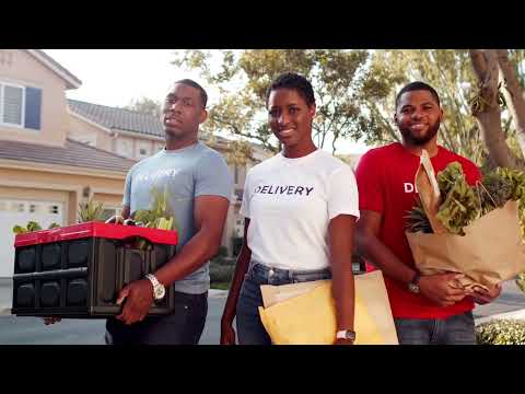 How much will I get in Florida Food Stamps in2024 | Estimating Your Assistance Amount