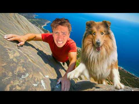 Porto i miei Cani sul TETTO del MONDO