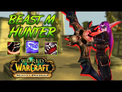 BM Hunter PvP +2200 - WoW MoP