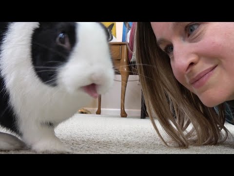 Rabbit kisses