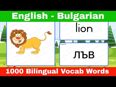 📌Learn English Bulgarian Vocabulary with Pictures for Beginners : Научете английски български речник