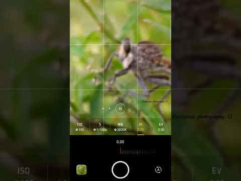 How I take macro photos with phone 📱... #shorts #youtubeshorts