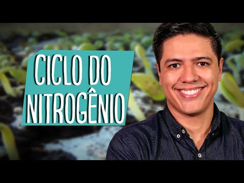 NITROGEN CYCLE - BIOGEOCHEMICAL CYCLES - ECOLOGY - Prof. Kennedy Ramos