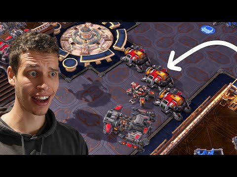 This Terran Cheese Is INSANE