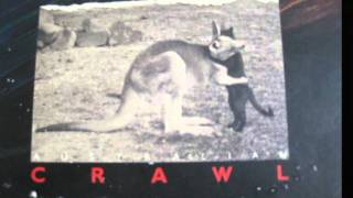 My Day At The Beach,       Australian Crawl