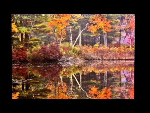 Max Riebl Australia   New year carol