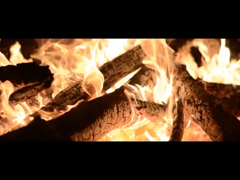 Kumzitz for Eretz Yisrael | NCSY Camp Sports