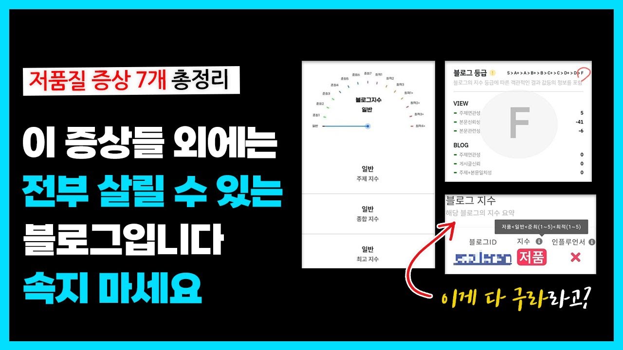 네이버 저품질 블로그 확인, 진단 방법 (증상, 현상), 이거 포함 안 되면 저품질 아닙니다. 저품질 탈출 안 하셔도 됩니다