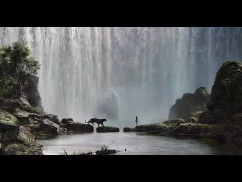 The Jungle Book (2016) and The Lion King (2019) Mash-Up
