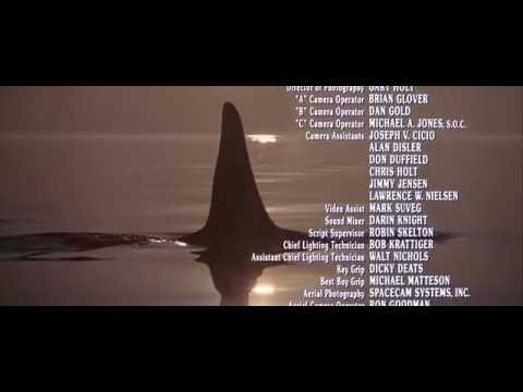 Forever Young - Pretenders (Free Willy 2 / 1995) Soundtrack