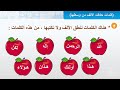 تحميل شرح درس المده في اول الكلمه ووسطهاء MP3 - ميوزيكن