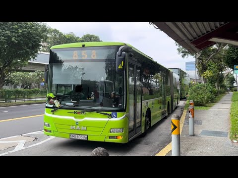 Tower Transit MAN NG363F A24 - SMB8038A on Route/Service 858