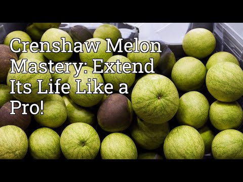Ultimate Crenshaw Melon Storage Tips!