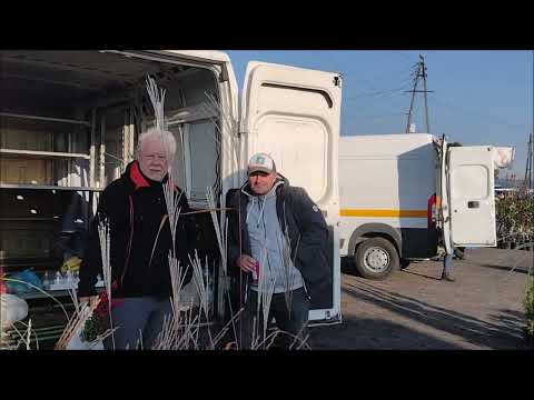 In Garwolin, in Garwolin... the market and more - words: Stefan Jerzy Siudalski