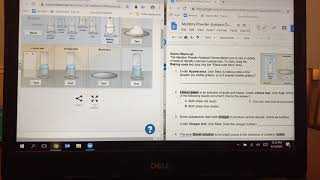 How to use Explore Learning Gizmos