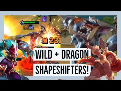STRONG GNAR + SHYVANA SHAPESHIFTERS TEAM BUILD! - Teamfight Tactics lol tft Auto Chess Strategy