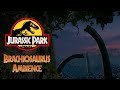 Brachiosaurus Paddock Ambience (Night) - 1 hour version | Jurassic Park