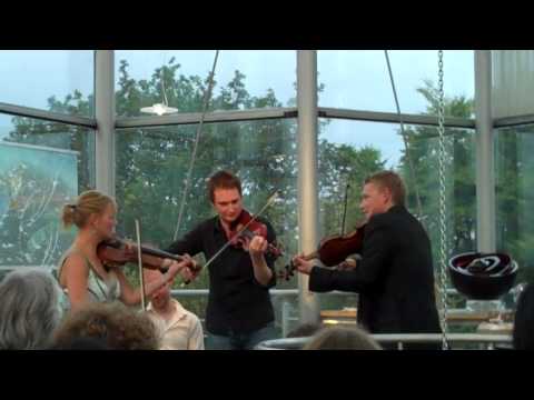 Harald Haugaard's International Fiddle School 2010