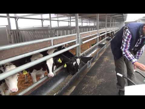 Flexistal Alpuro Breeding (2)