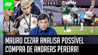 Coitadinho? Coitadinho nada’: Mauro Cezar é direto ao relembrar a final Palmeiras x Flamengo