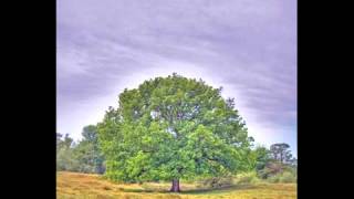 Blonde Redhead - Hated Because of Great Qualities