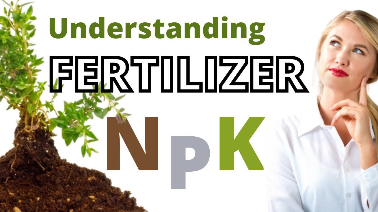 How Does Fertilizer Work