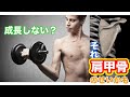 上半身の筋肉付かない人肩甲骨を見れば解決【筋トレ】