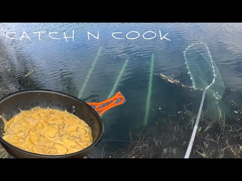 First Whitebait For 2025 — Catch n Cook